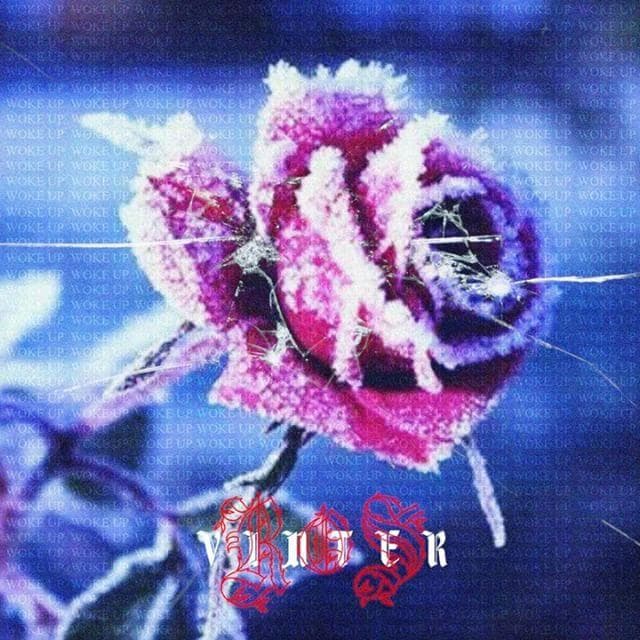 Ros Vinter Woke Up Von Haartman