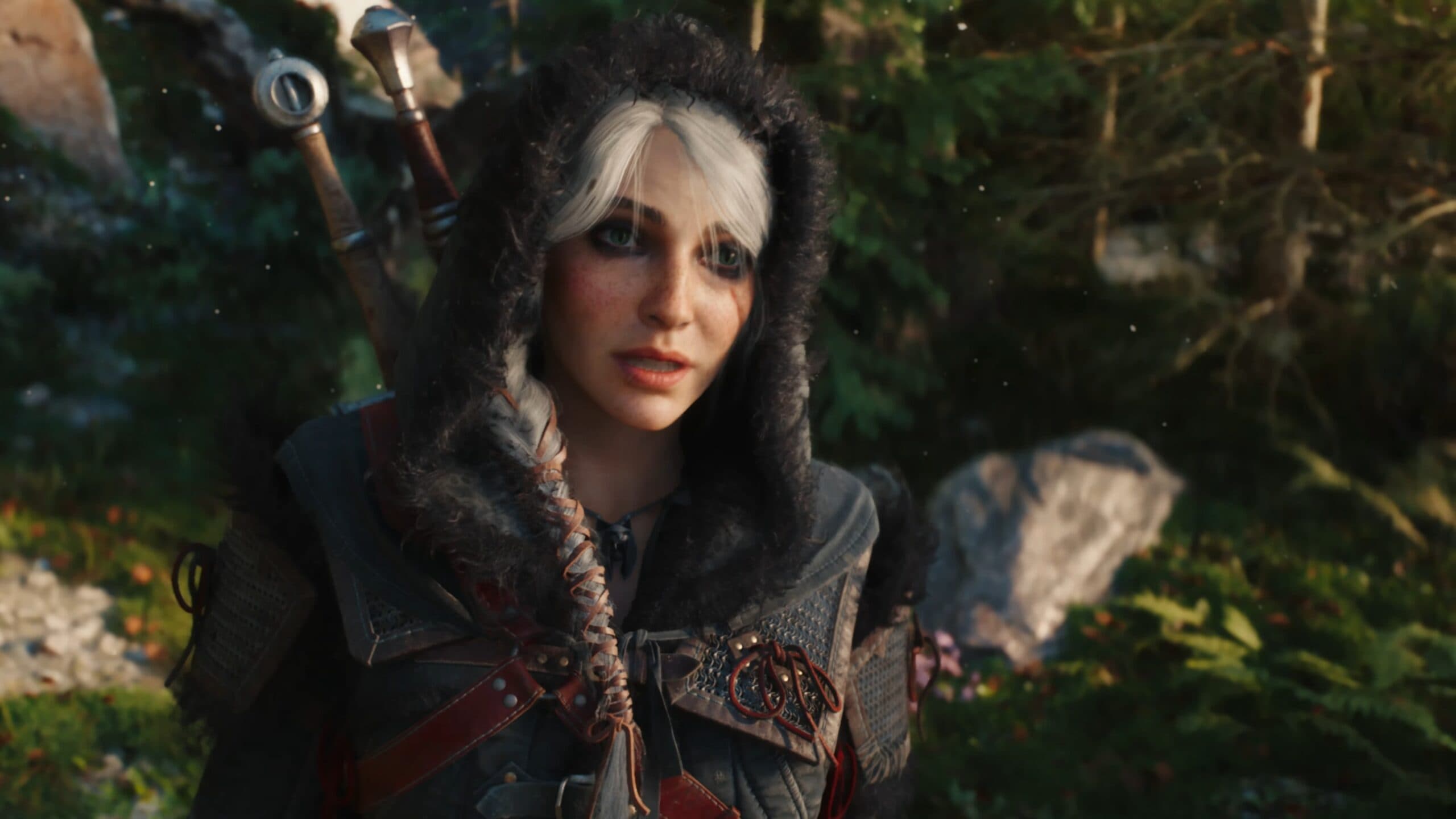 En titt på The Witcher 4.