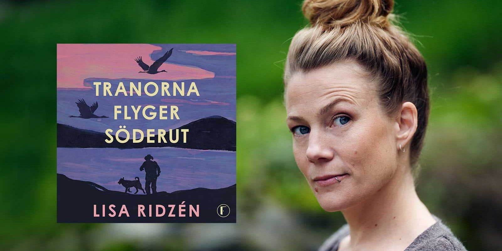 Tranorna flyger söderut - Lisa Rizdén