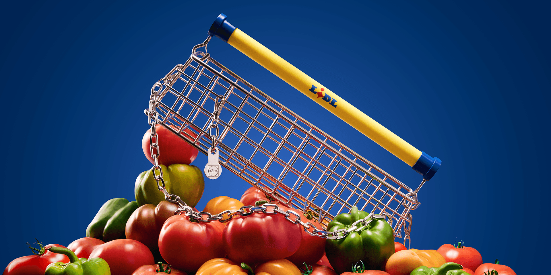 Lidl "The Trolley Bag"