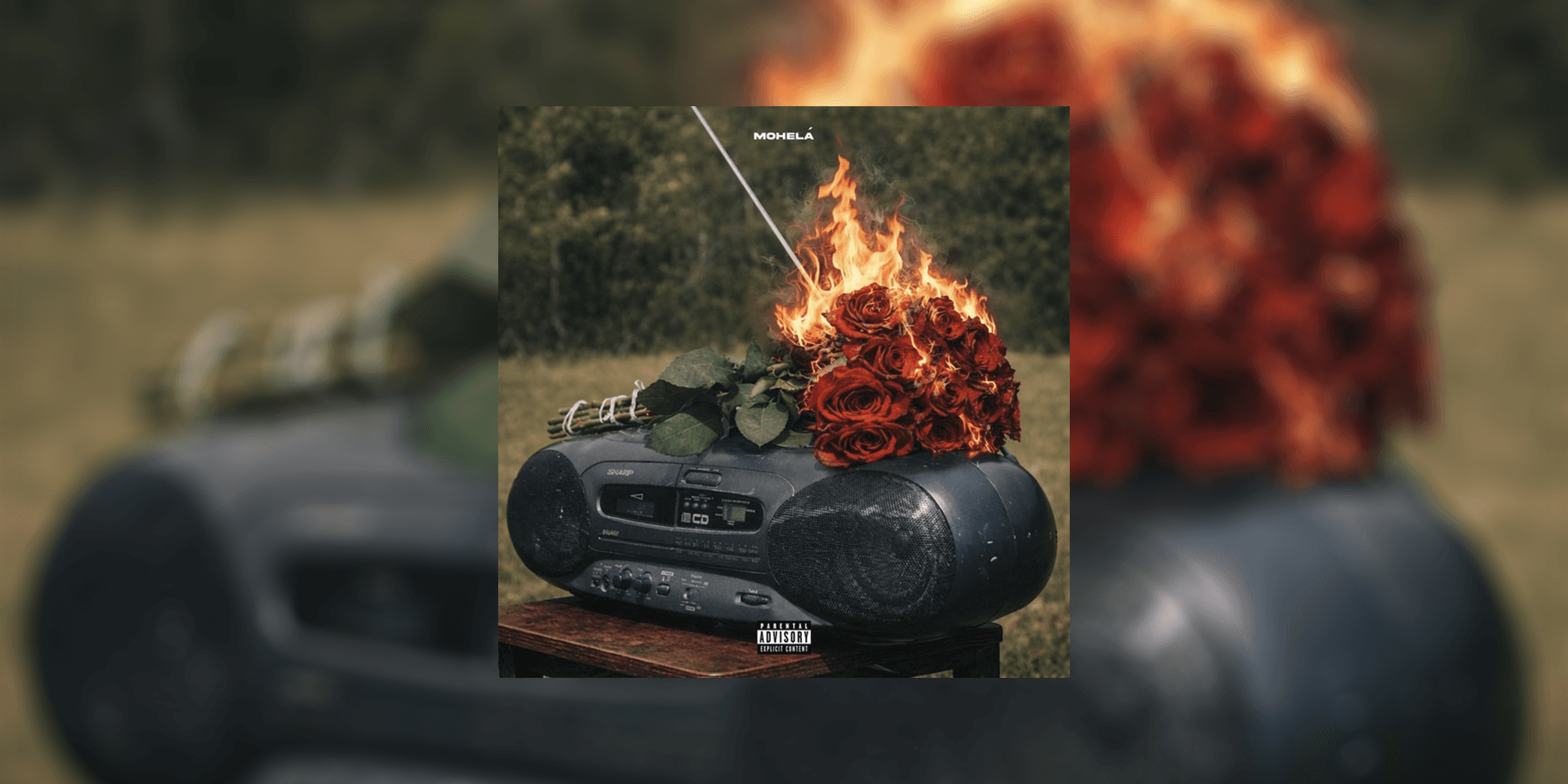 Mohelá - "500 ROSOR"