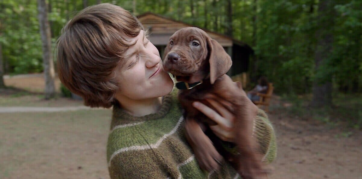 Scooby Doo: Origins