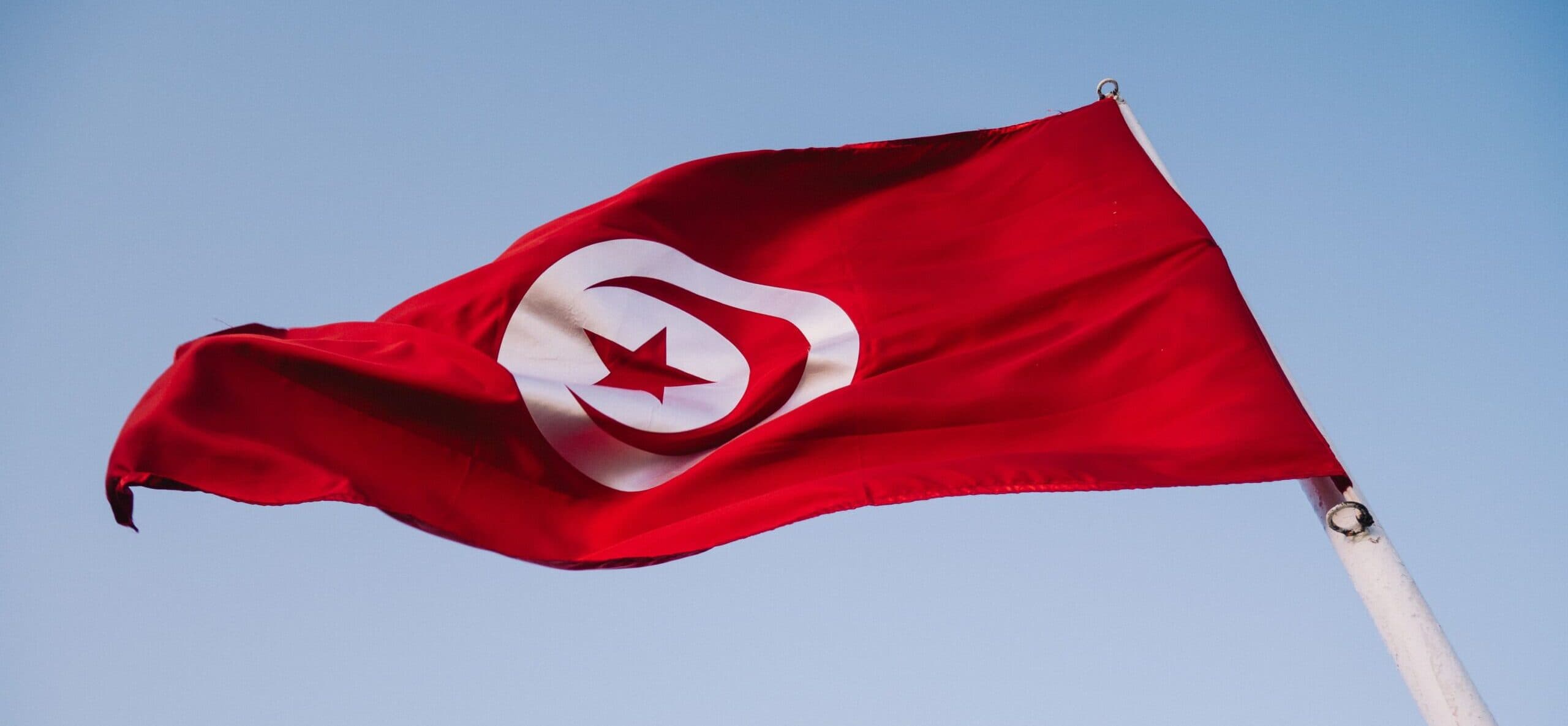 Tunisien sparkar sin förbundskapten efter matchen mot Sverige