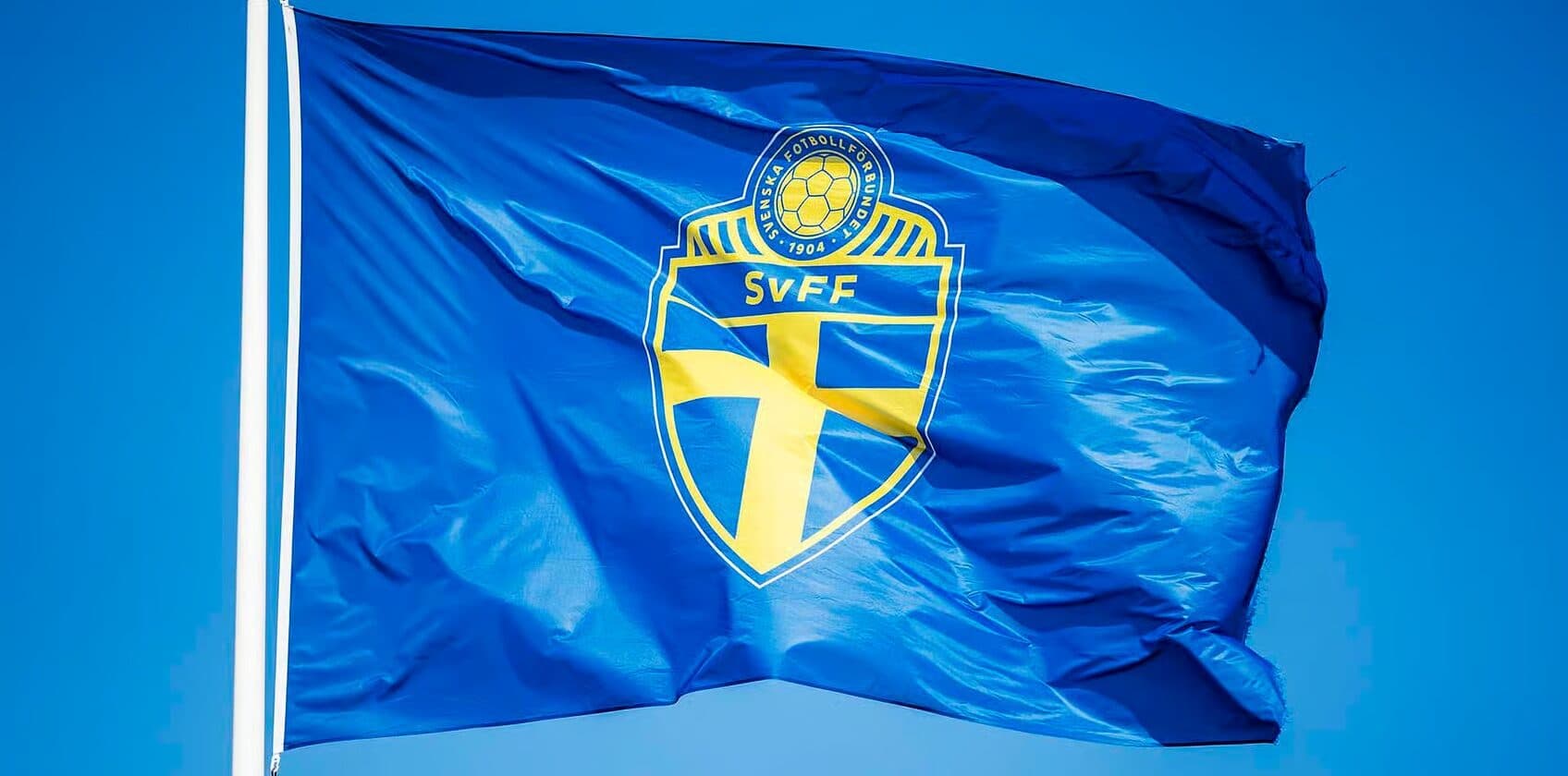 Flagga på SvFF-loggan
