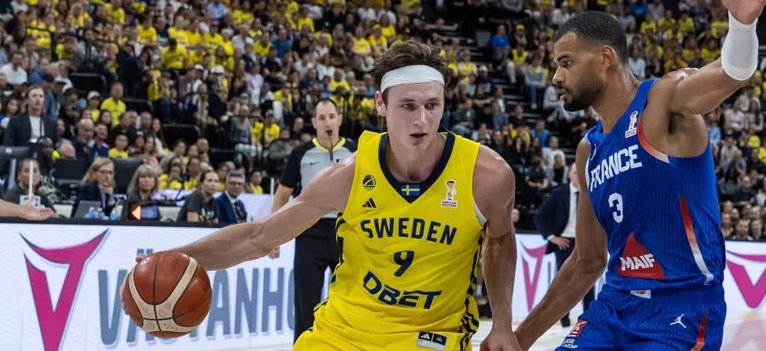 Sverige tog sig an Frankrike i VM-kvalet.